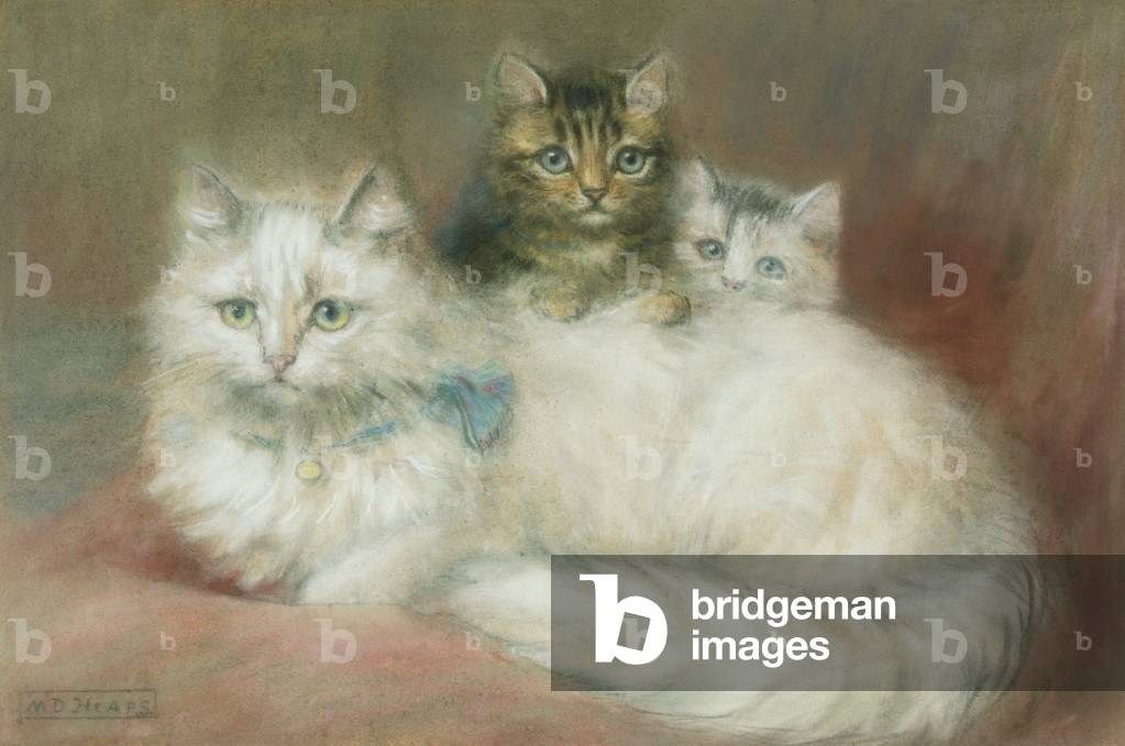 A Persian Cat and her kittens