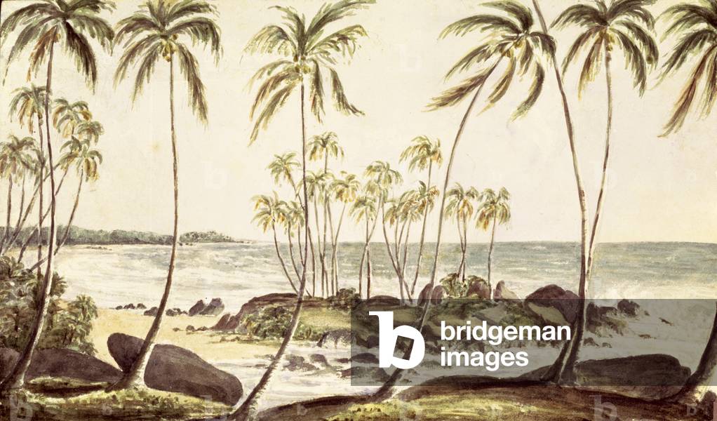 Kosgoda Beach, Ceylon, c.1835 (w/c on paper)