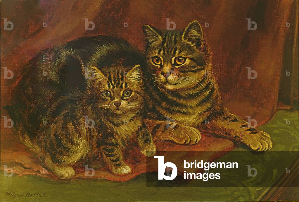 A Tabby Cat with a Kitten