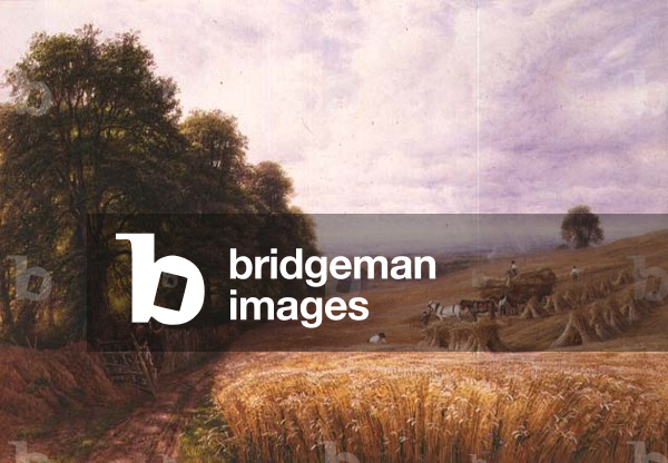Bringing in the Harvest
