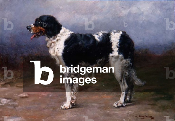 Gundog in a Landscape, 1909
