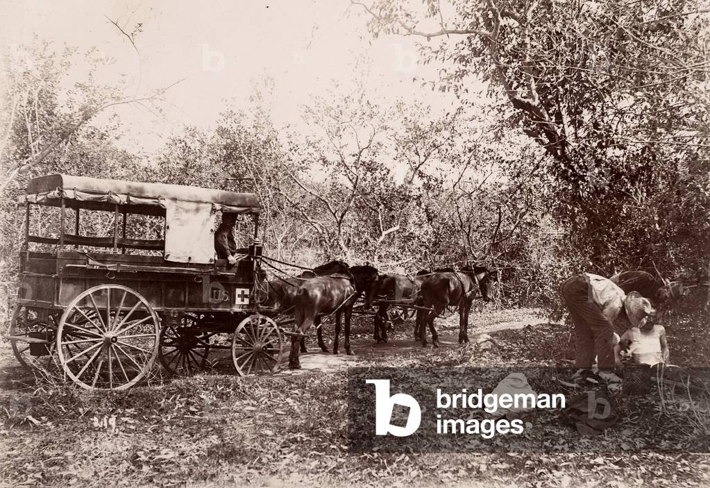 Spanish American War Ambulance with Medics and Wounded Soldiers, Cuba, Cuba, 1898 (silver gelatin print)