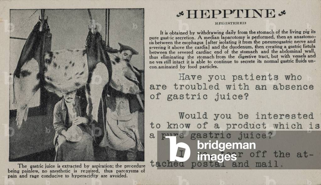 Hepptine Advertisement, New Orleans, LA, 1912 (postcard)