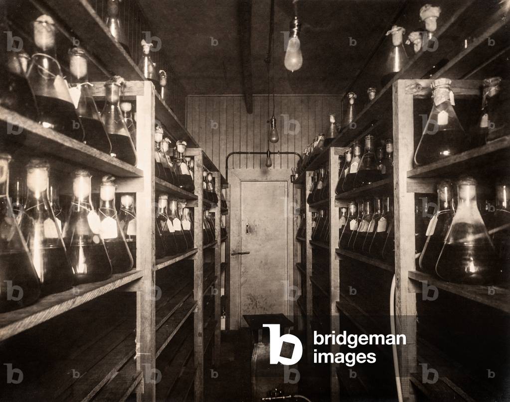 Vaccine Storage Room, WWI, 1915-18 (silver gelatin print)