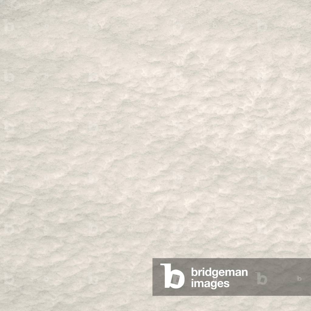 Snow Blanket, 2019 (photo)