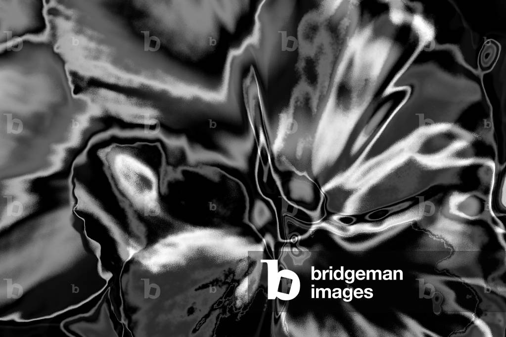 Abstract Flower #3 November 2018 (digitally manipulated photo)