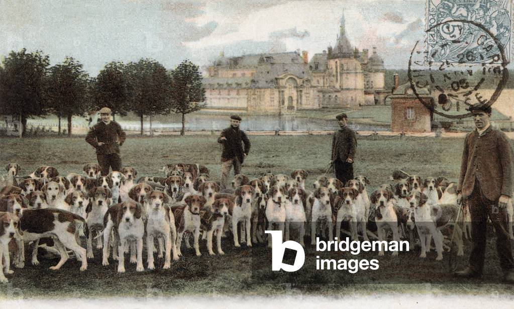 Chantilly, France: the dogs (pack of hounds), postcard, 1905