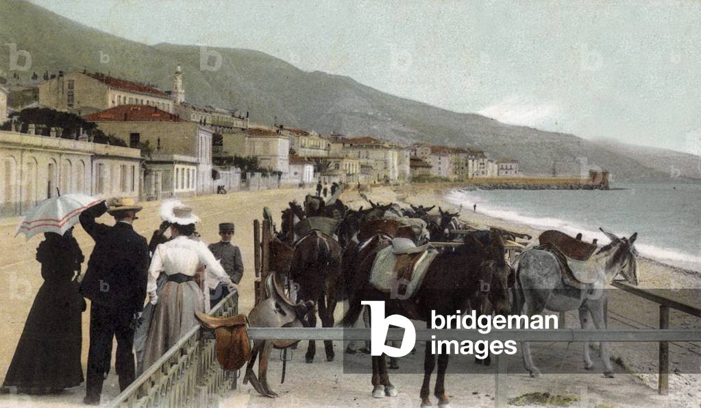 Menton (French Riviera): donkeys for walk on the seaside, postcard, c. 1910
