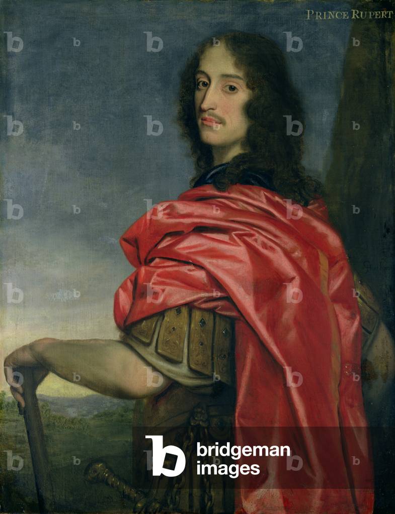 Portrait of Prince Rupert (1619-82) (oil on canvas)