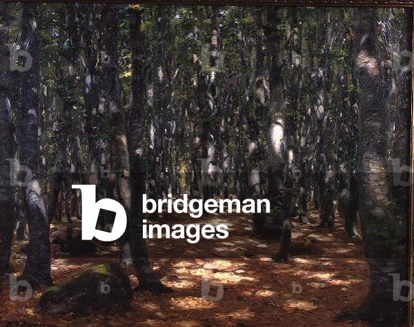"Foresta illuminata dal sole" di Hans Andersen Brendekilde