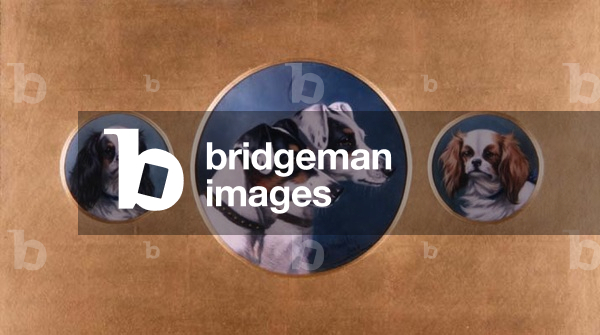 Fox Terriers and King Charles Spaniels, 1905