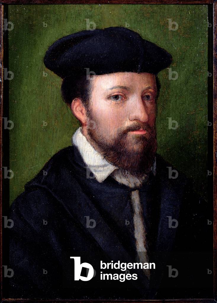 porträt von einem herrn, norditalienisch, mitte-16. jahrhundert (panel)