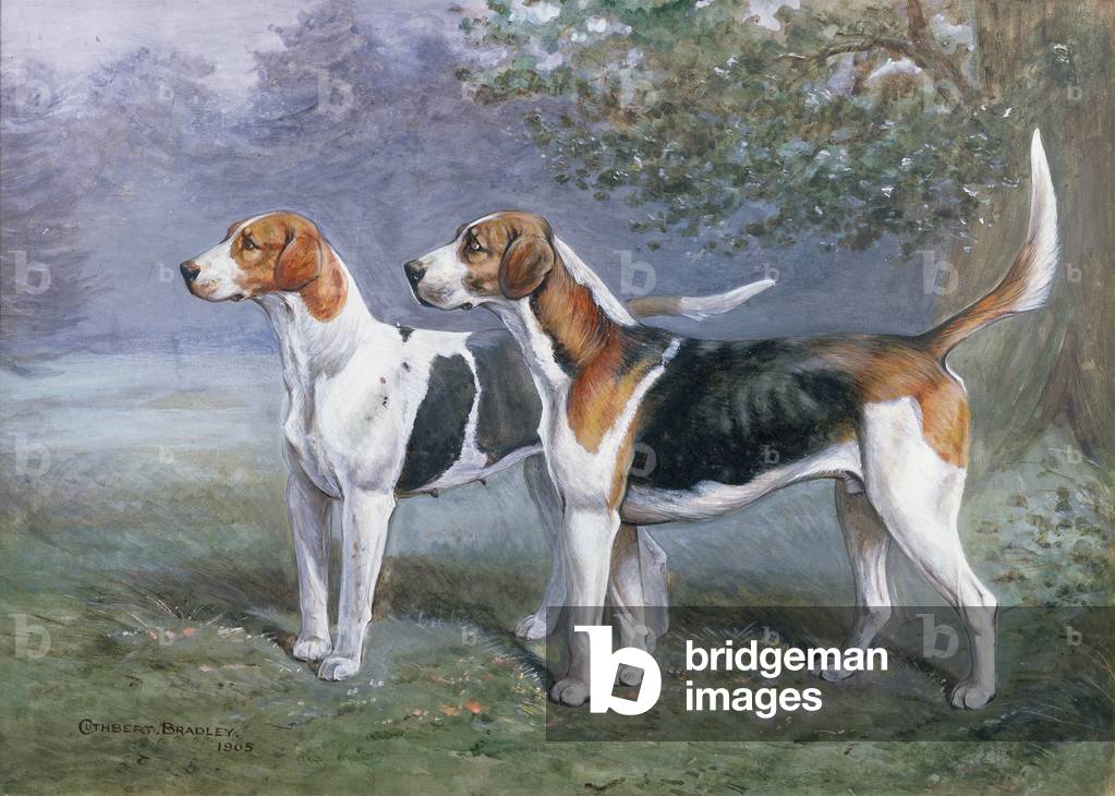 A Bitch and Dog Hound in a Landscape by Cuthbert Bradley
