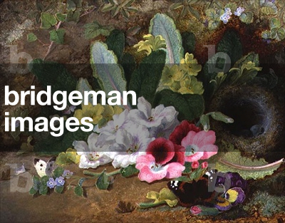 A Bit under the Old Bank