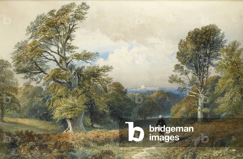 Rough Shooting in Windsor Great Park (w/c on paper)