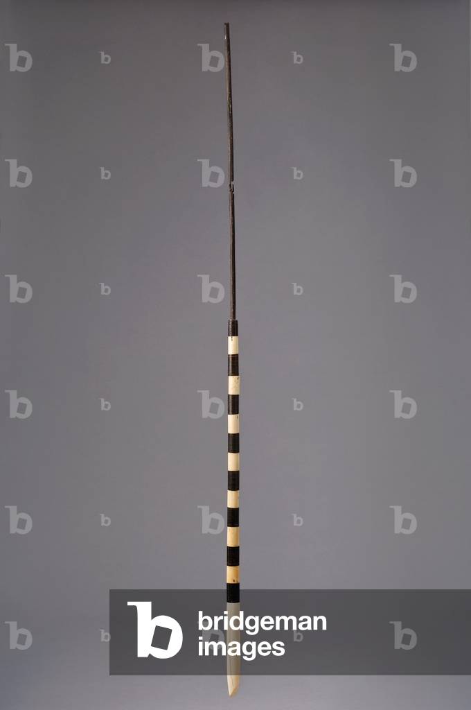 Kahili, handle, early 19th century (wood, turtle shell, walrus ivory)