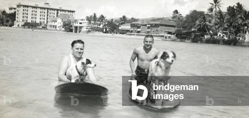 Surfing dogs at Waikiki Beach (b/w photo)