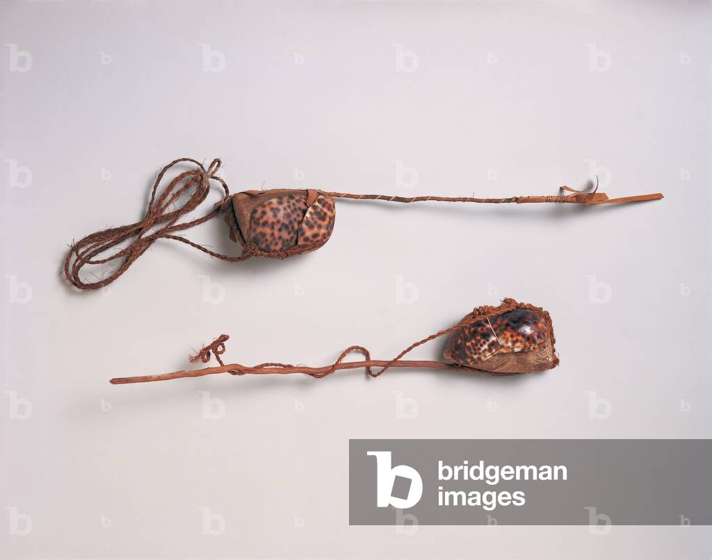 Maka feke, octopus lures, Tongan (wood, cowrie shell, calcite, coconut and vegetal fibre)