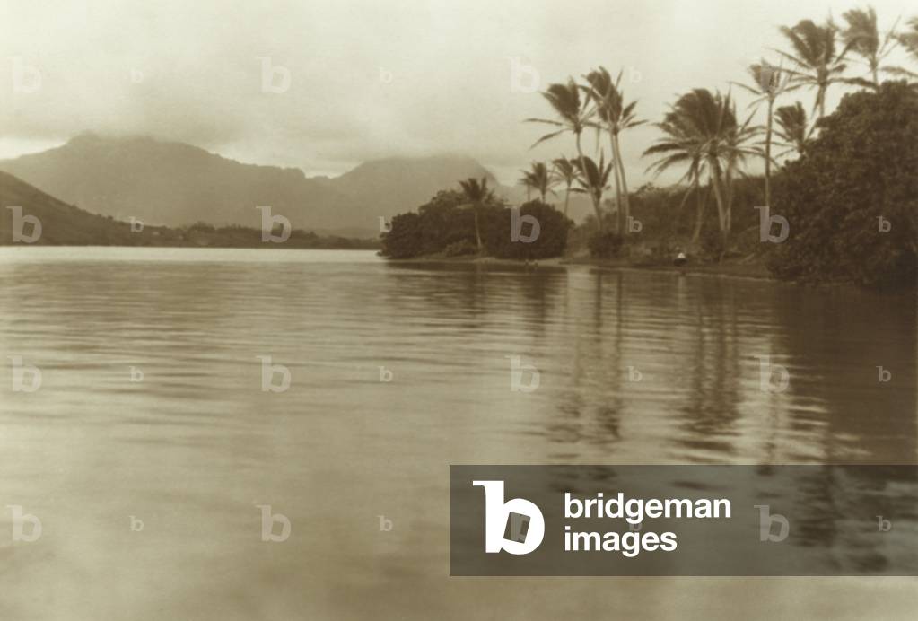 Coral Gardens, Kaneohe Bay, Oahu, c.1915 (toned silver bromide print)