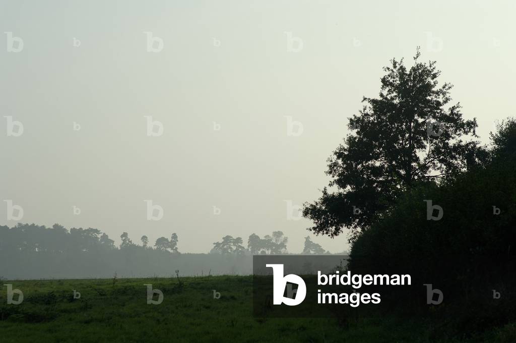 Snape - view of the countryside and trees in the small village on the east England coast, 15th October 2005