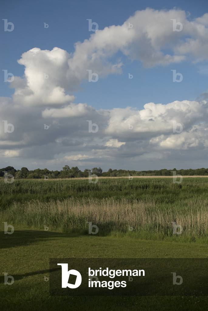 Snape marsh, Suffolk, UK