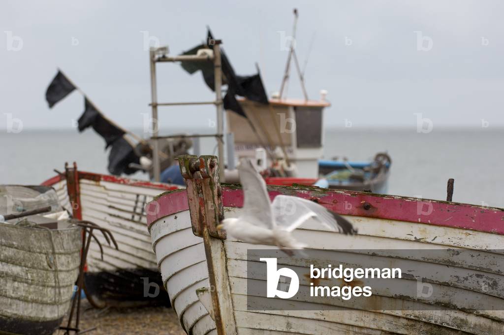 Fishing boats on Aldeburgh beach, Suffolk, UK, June 2007