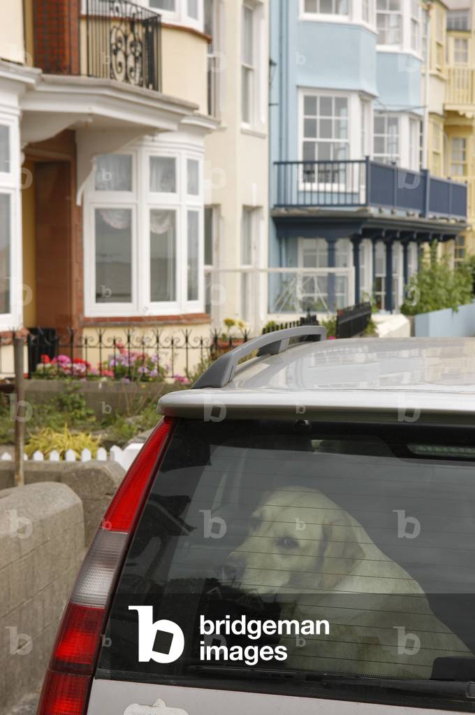 Aldeburgh, Crag Path, houses and dog sitting in car in the foreground in road which overlooks the sea
