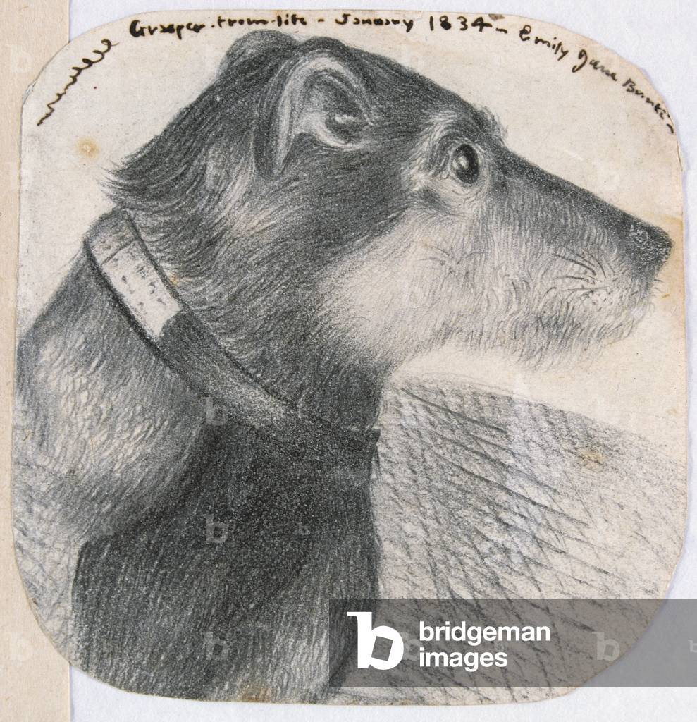 Image of Drawing depicting Grasper, 19th century by Emily Bronte