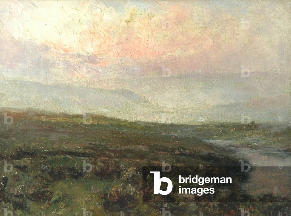 Moorland Scene (oil on canvas)