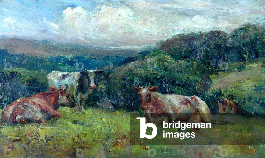 Cattle (oil on board)