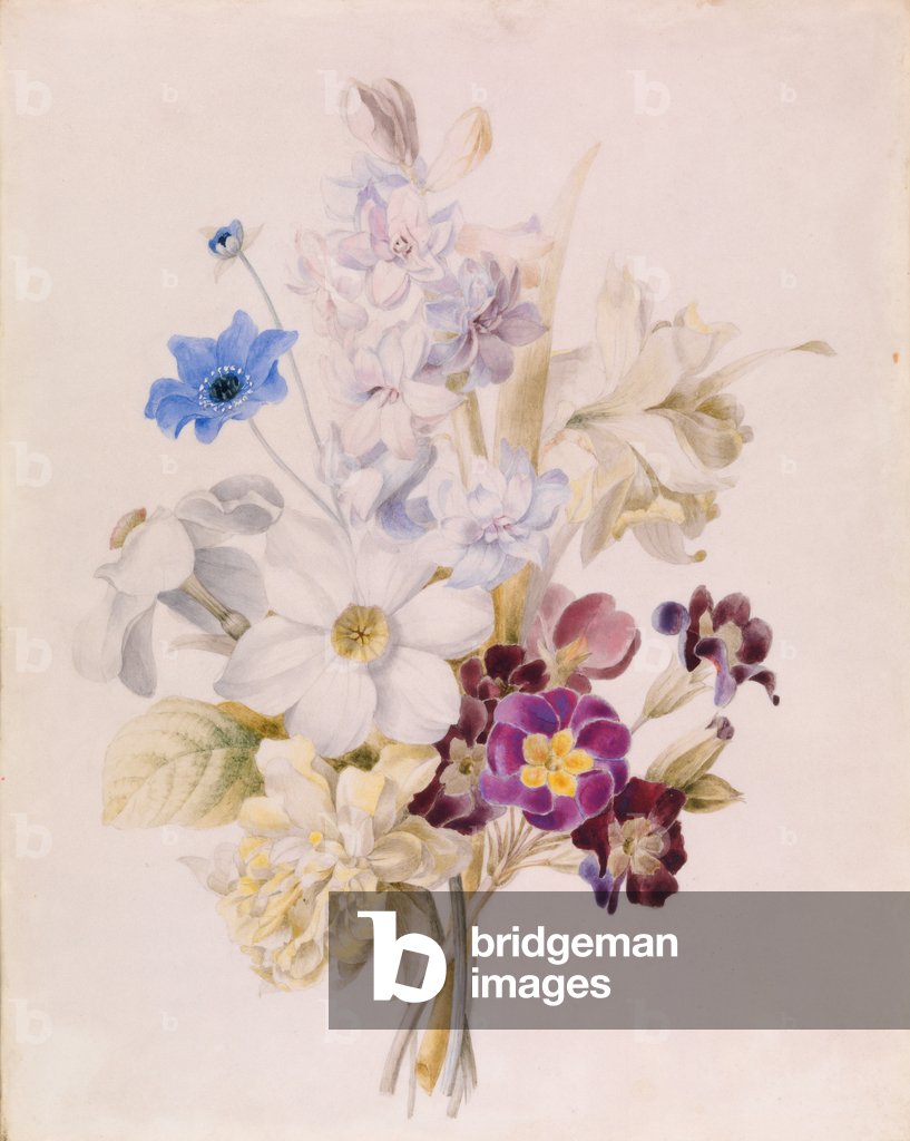 Narcissus and other Flowers, 1840 (w/c on paper)