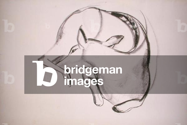 Deer (black chalk on paper)