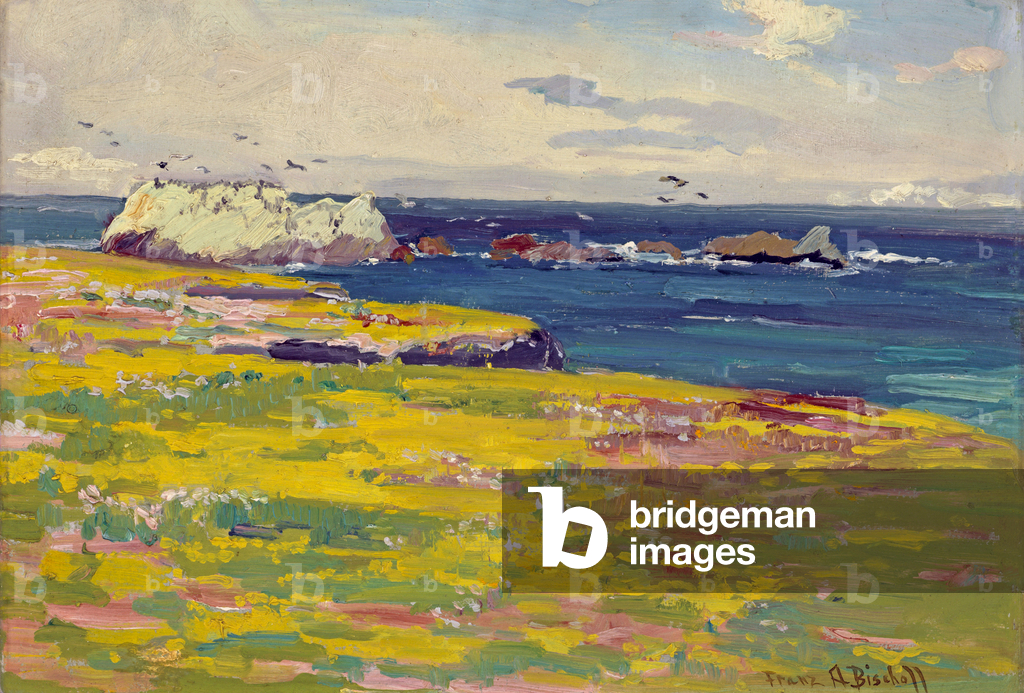 Bird Rock, c.1920 (oil on panel)