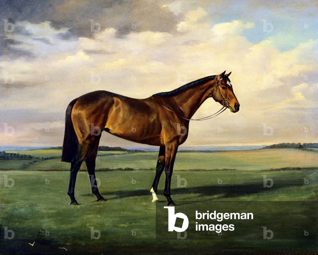 'Berkeley Springs', 1967 (olio su tela)