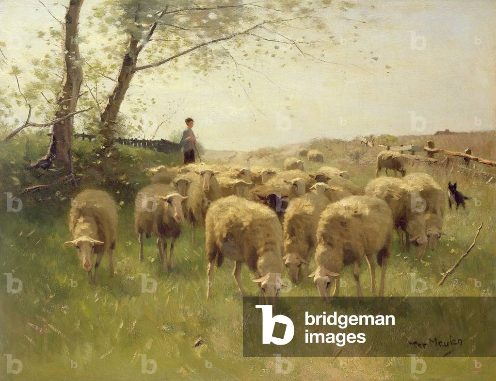 The Shepherd (oil on canvas)