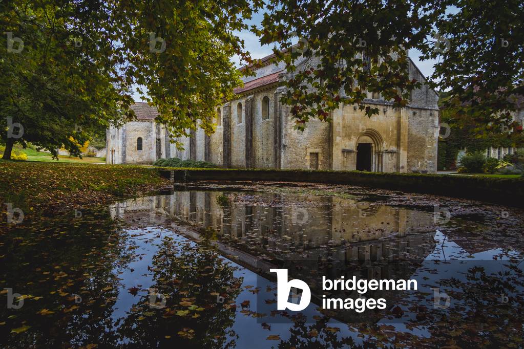 Park and forge of Fontenay Abbey, Burgundy, France (photo)