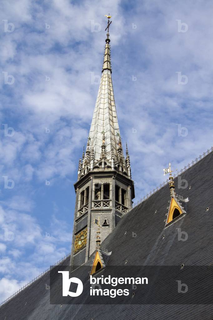 Hotel Dieu, Beaune, Burgundy, France (photo)