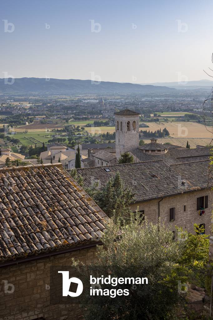 Panorama con uliveti, Assisi, Umbria, Italy (photo)