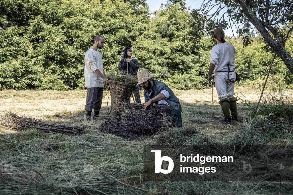 Activities in the fields: collection of branches for the preparation of fascine, Daily life early 15th century, Northern Italy, Piedmont, Italy (photo)