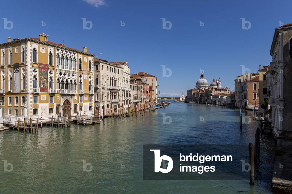 Palazzo Franchetti e Palazzo Barbaro, Venice, Italy (photo)
