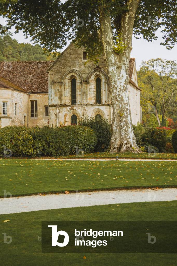 Park and forge of Fontenay Abbey, Burgundy, France (photo)