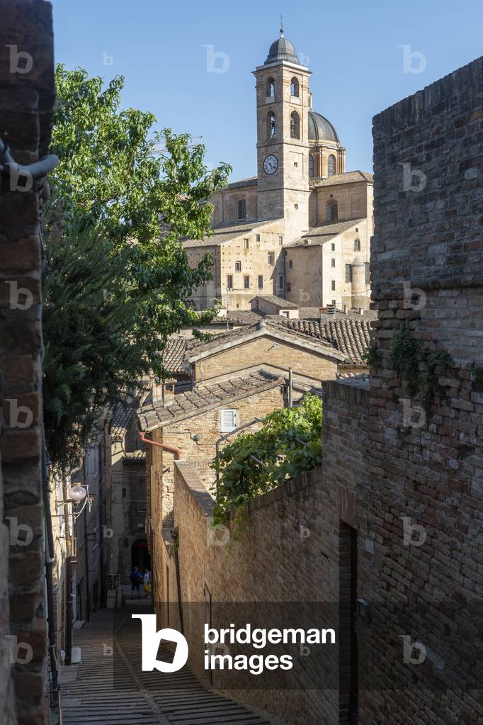 Historic centre, Urbino, Italy (photo)