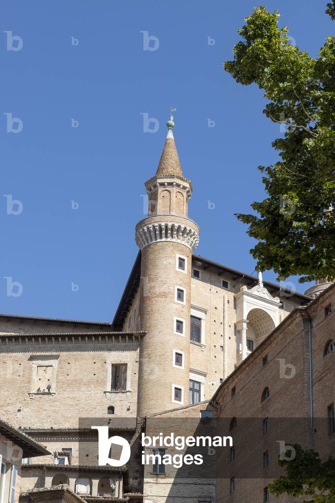 Ducal Palace, Urbino, Italy (photo)