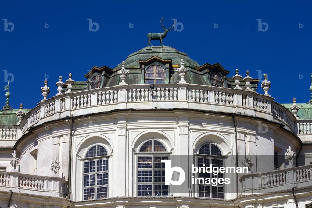 Outdoor spaces, Hunting Hall of Stupinigi, Nichelino, Turin, Piedmont, Italy (photo)
