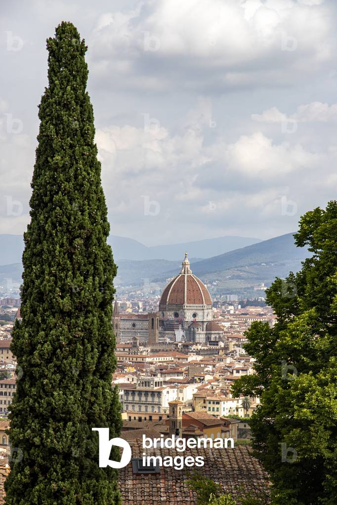 Panorama on the historic center, Florence, Tuscany, Italy, 2020 (photo)
