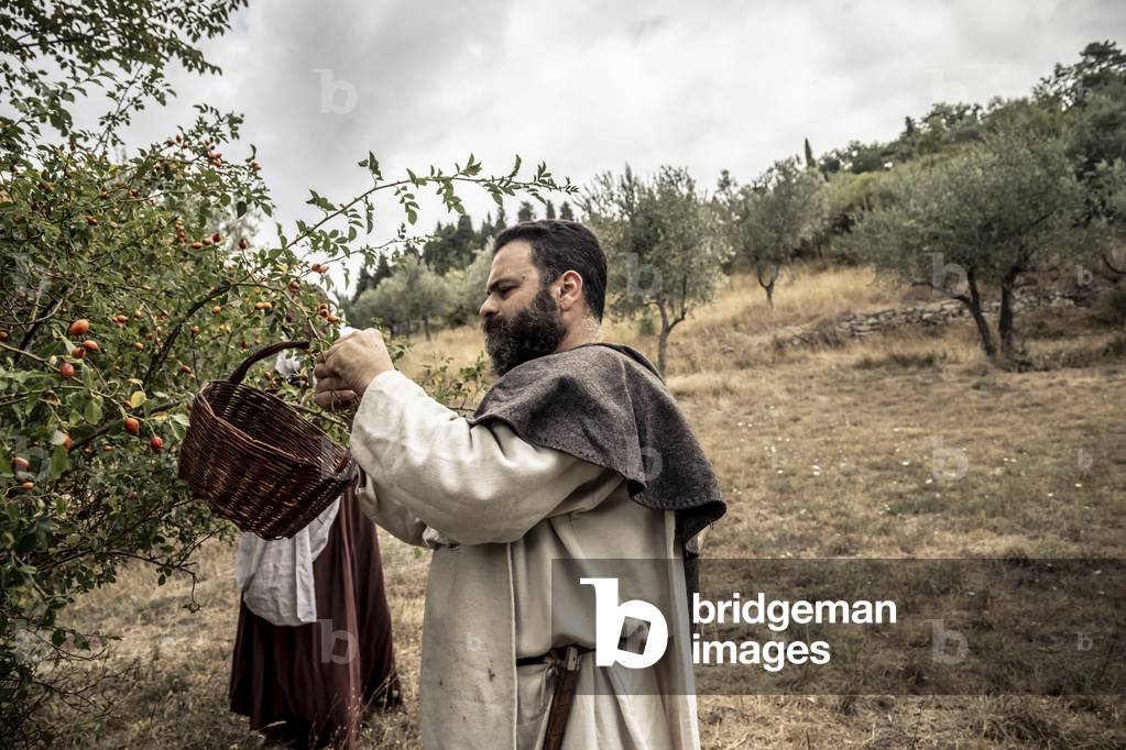 Daily life, XIII century: spontaneous herbs and seasonal wild fruits are collected, for food and medicinal preparations, central Italy, Prato, Italy (photo)