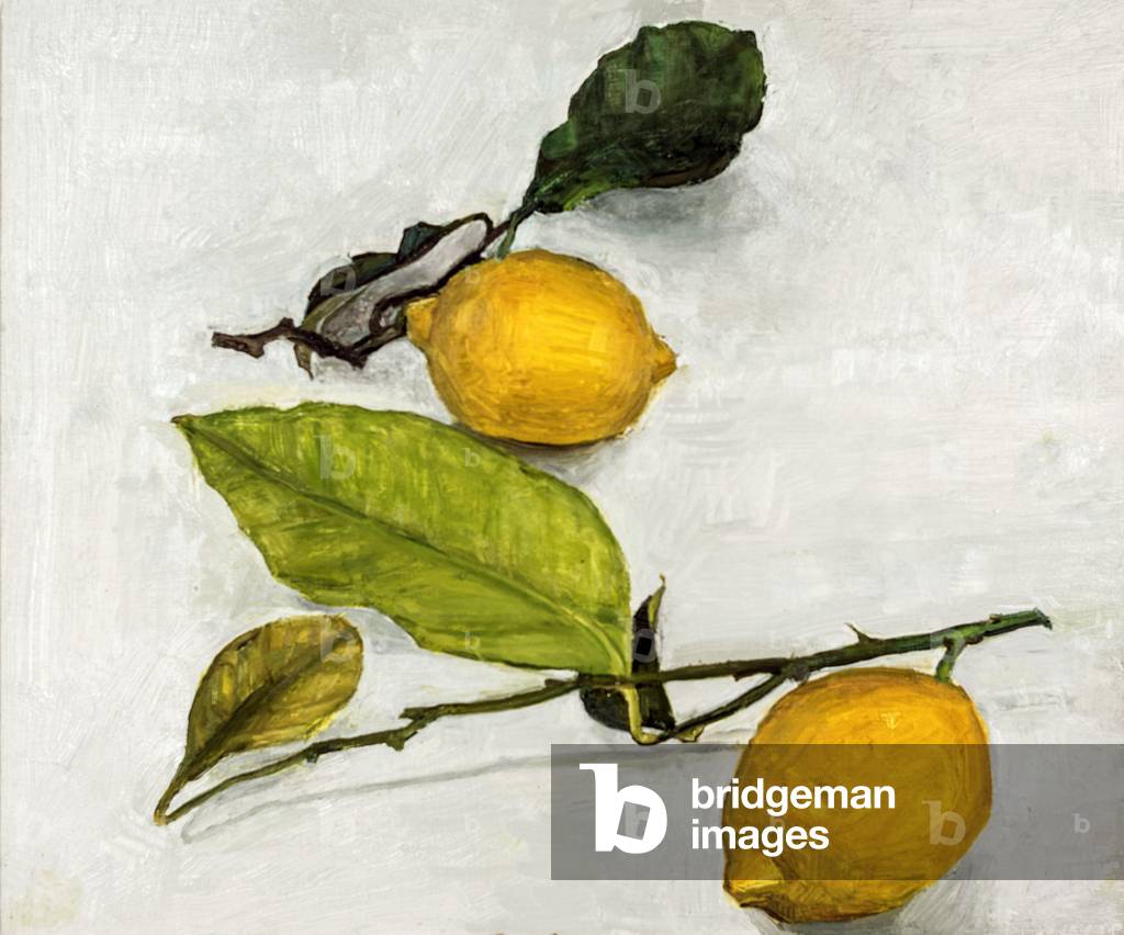 Two Lemons, 2017 (oil on panel)