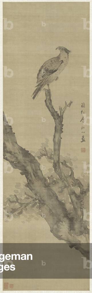 Eagle Perching on a Tree, Qing Dynasty (ink on silk)