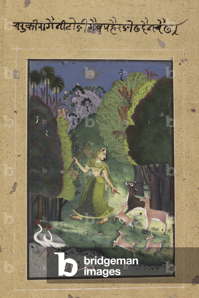Todi Ragini, c.1760 (opaque w/c, gold & silver on paper)
