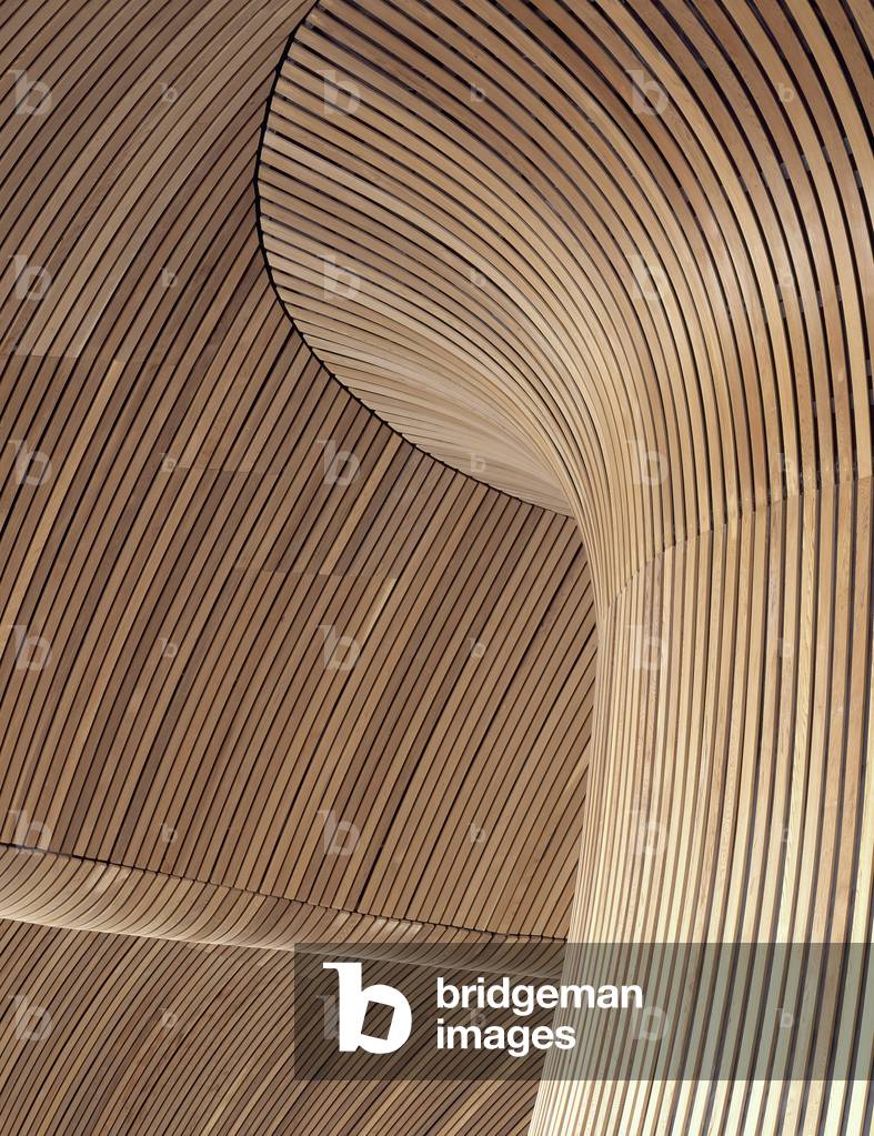 Roof detail, The Welsh Assembly, Wales, UK (photo)